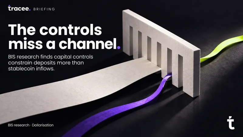 Tracee briefing cover, 'The controls miss a channel': BIS research finds that capital controls constrain traditional bank deposits far more effectively than they constrain dollar stablecoin inflows.