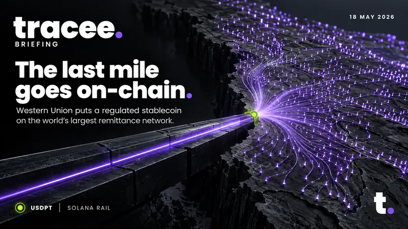 Tracee briefing cover, 'The last mile goes on-chain': Western Union puts a regulated stablecoin on the world's largest remittance network.